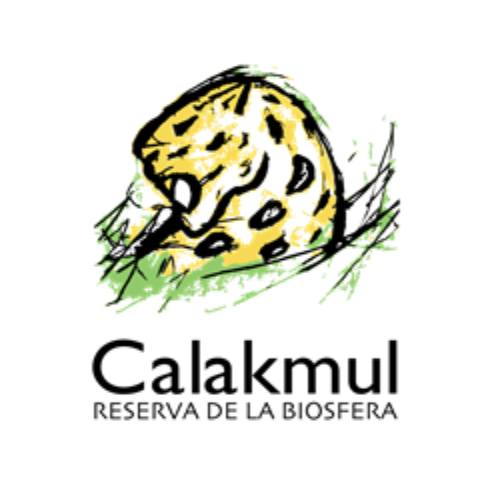 Calakmul: Reserva de la Biosfera